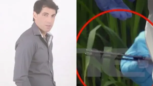 Γιώργος Τσιτόγλου, Καρδίτσα