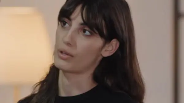 Η γη της ελιάς