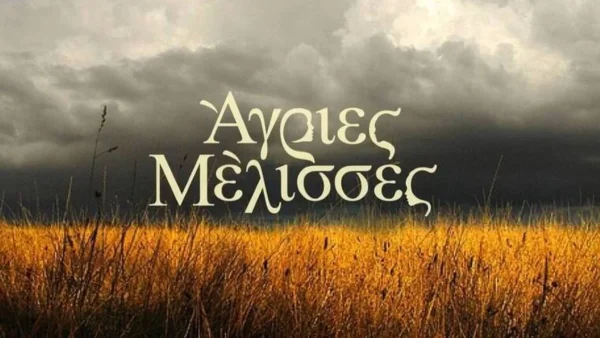 «Φέτος έπεσαν τα νούμερα στις Άγριες Μέλισσες, οφείλεται στο ότι ξεκινάμε αργά...»