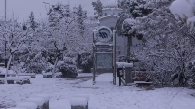 Πώς θα κινηθούν σήμερα 25/1 τα ΜΜΜ - Τι θα γίνει με Μετρό, Τραμ, λεωφορεία, τρόλεϊ, προαστιακό