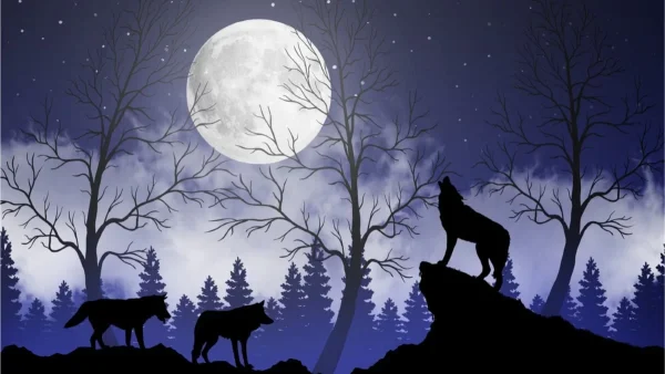 Καμπανάκι κινδύνου από την Μπήλιου για Καρκίνους, Ζυγούς και...  - Πανσέληνος του Λύκου στις 18/1