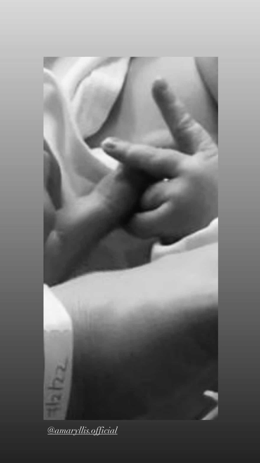 Ανάρτηση Αμαρυλλίς