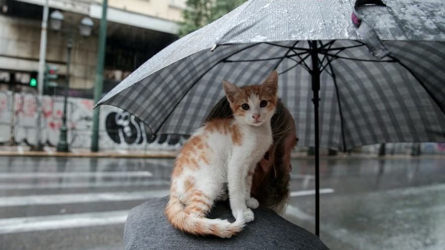Η πρόγνωση του καιρού από την ΕΜΥ Τρίτη 8/2