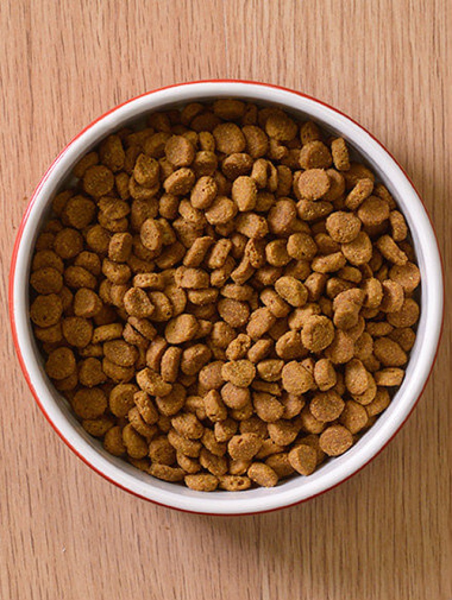 τροφή κατοικίδια κατσαρίδες