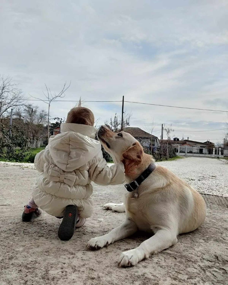 Ανάρτηση Σωτήρη Κοντιζά