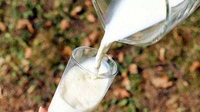 Το ήξερες; Το γάλα κατσαρίδας θεραπεύει από...