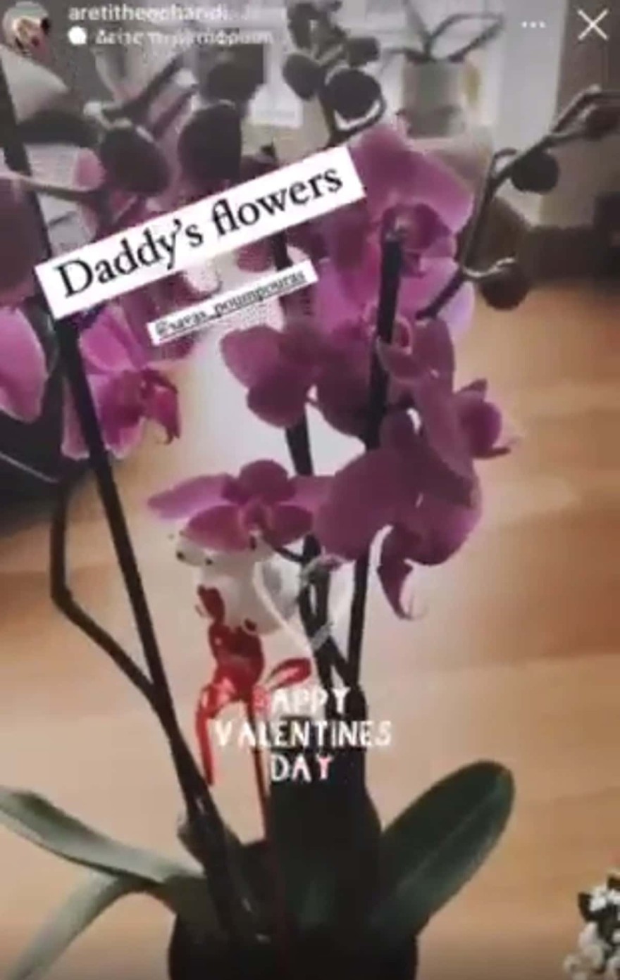 Το δώρο του Πούμπουρα