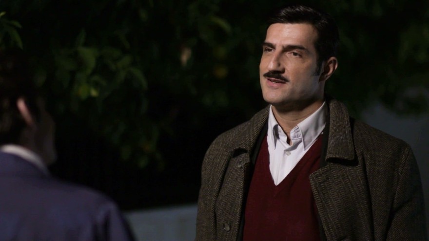 Άγριες Μέλισσες Ζάχος