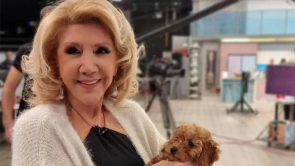 Οικονομικά προβλήματα βρίσκουν λύση - Η Λίτσα Πατέρα δίνει ελπίδα σε 2 ζώδια