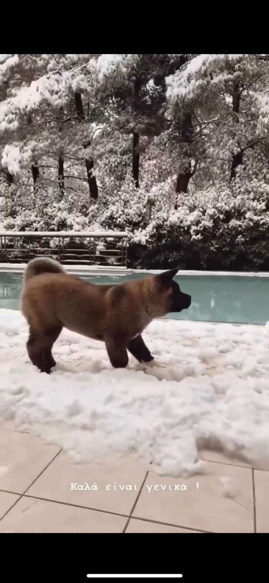 Η αυλή της Δήμητρας Αλεξανδράκη