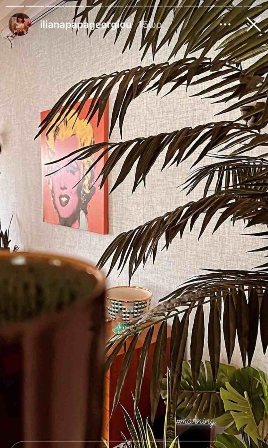 Φωτογραφίες από το εσωτερικό του σπιτιού της Ηλιάνας Παπαγεωργίου