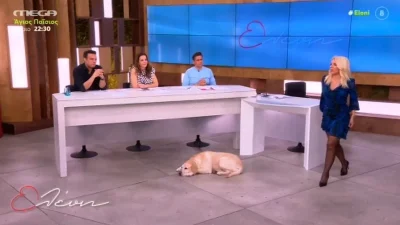 Απίστευτο περιστατικό στον αέρα της εκπομπής ''Ελένη'' - «Εγώ το έκανα αυτό;»