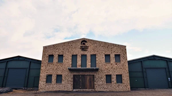 Πρώτο διεθνώς το ελαιόλαδο της ΜΟΛΩΝ ΛΑΒΕ AE πιστοποιείται για τη βιοδραστικότητα της σύστασής του προς όφελος της  ανθρώπινης υγείας και ευεξίας