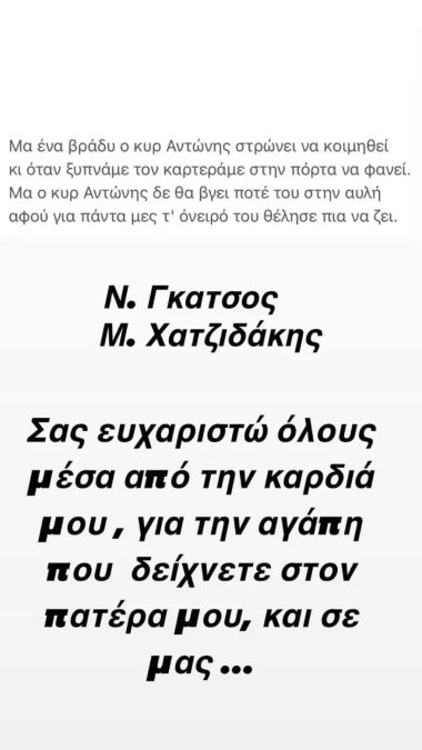 Η ανάρτηση της Ελισάβετ Μουτάφη.
