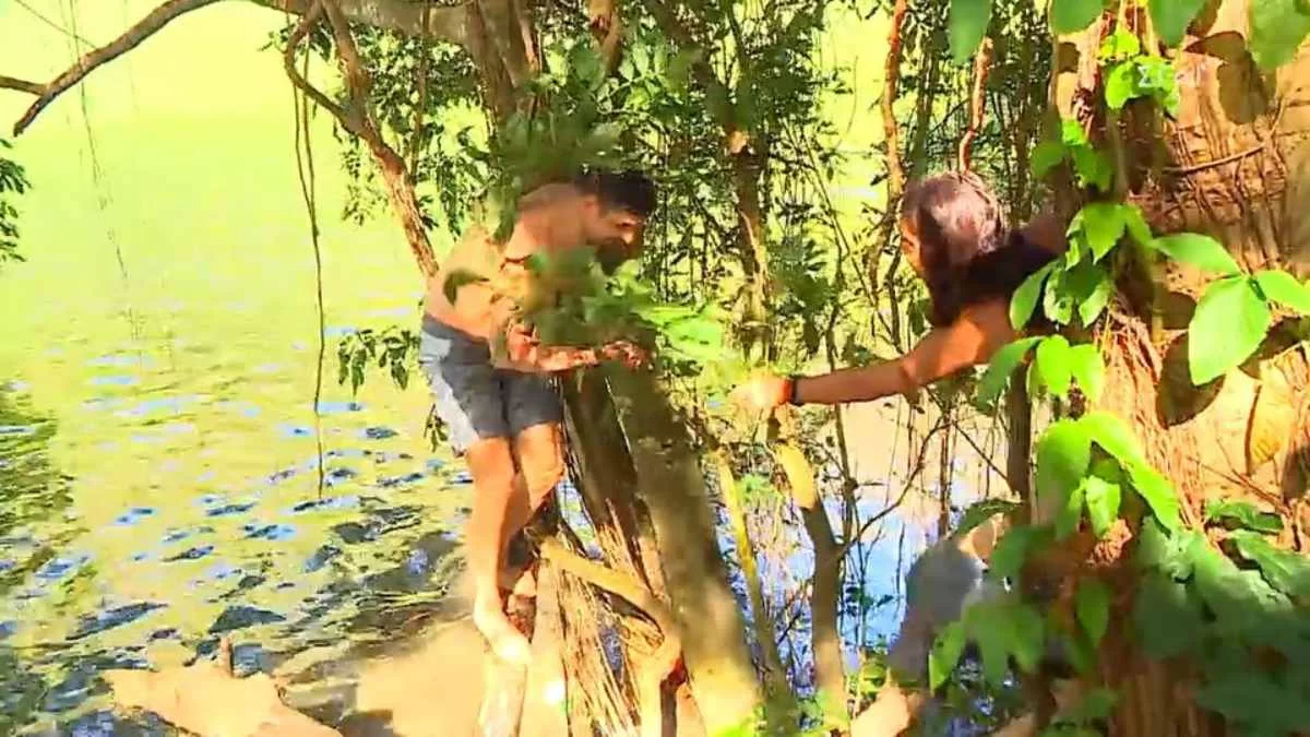 Survivor 5: Ο "άφαντος" κροκόδειλος τραυμάτισε σοβαρά τον Νίκο Αντωνόπουλο - Τι συνέβη;