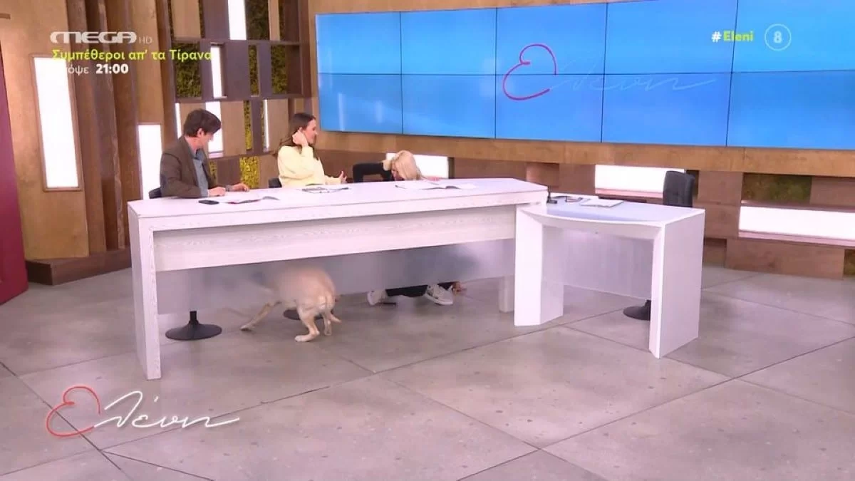 Ασύλληπτο περιστατικό - Η Ελένη Μενεγάκη έριξε τον Δημήτρη Ουγγαρέζο από την καρέκλα του