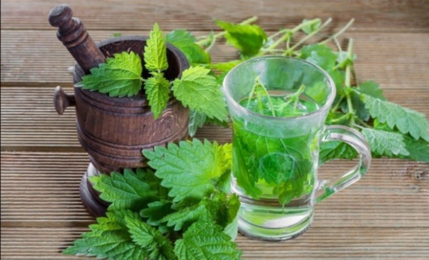 Ρόφημα με τσουκνίδα