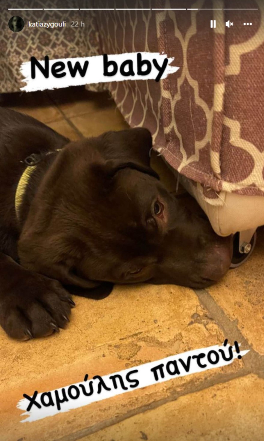 Νέο μέλος στην οικογένεια της Κάτιας Ζυγούλη και του Σάκη Ρουβά
