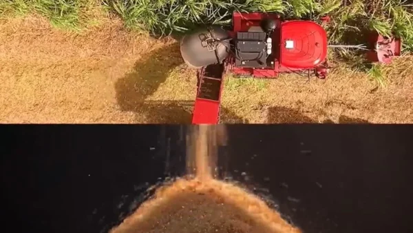 Η πορεία της καστανής ζάχαρης σε 27’’ από τον Άγιο Μαυρίκιο