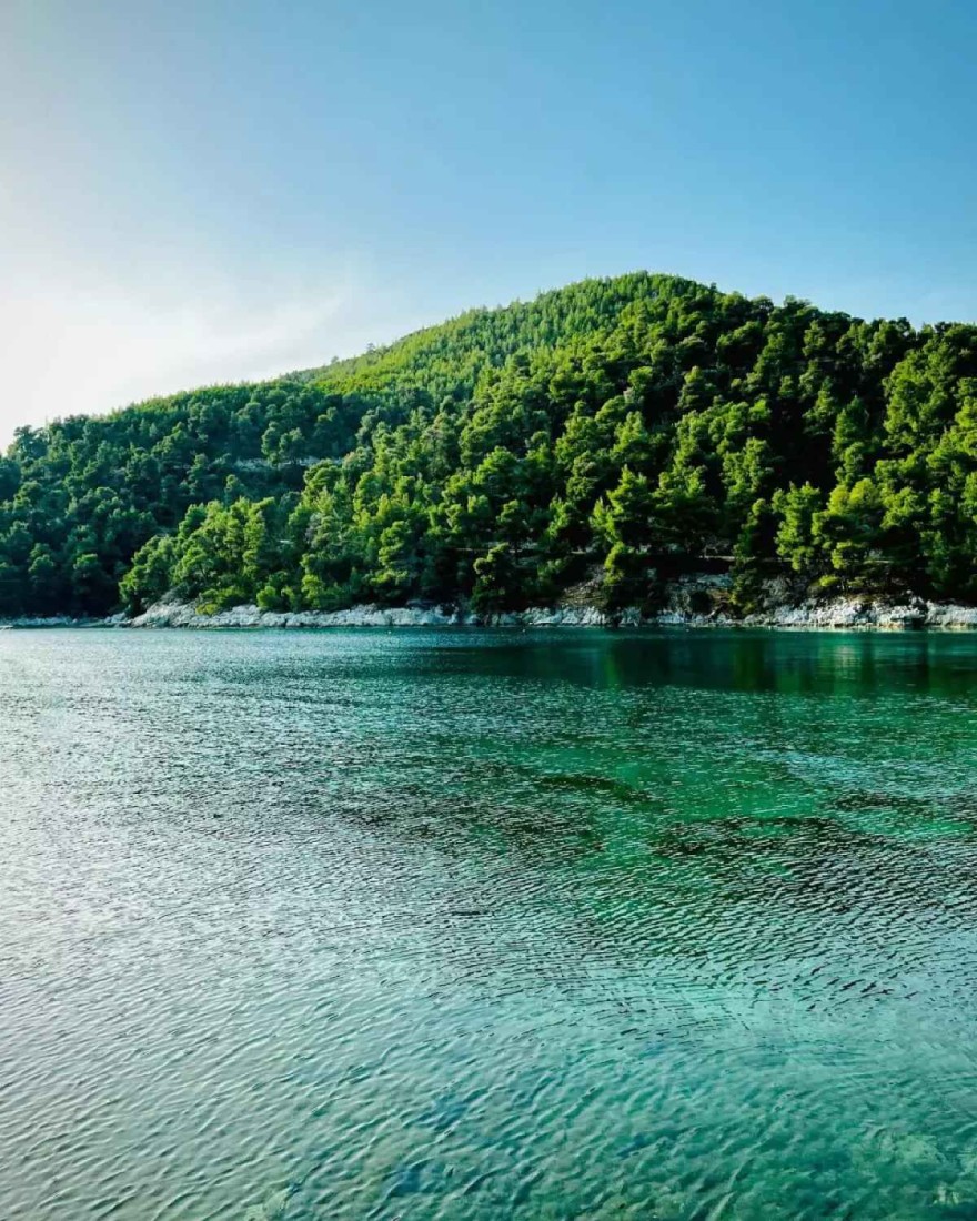 Χώρισαν οριστικά Ευρυδίκη Βαλαβάνη - Κωνσταντίνος Βασάλος