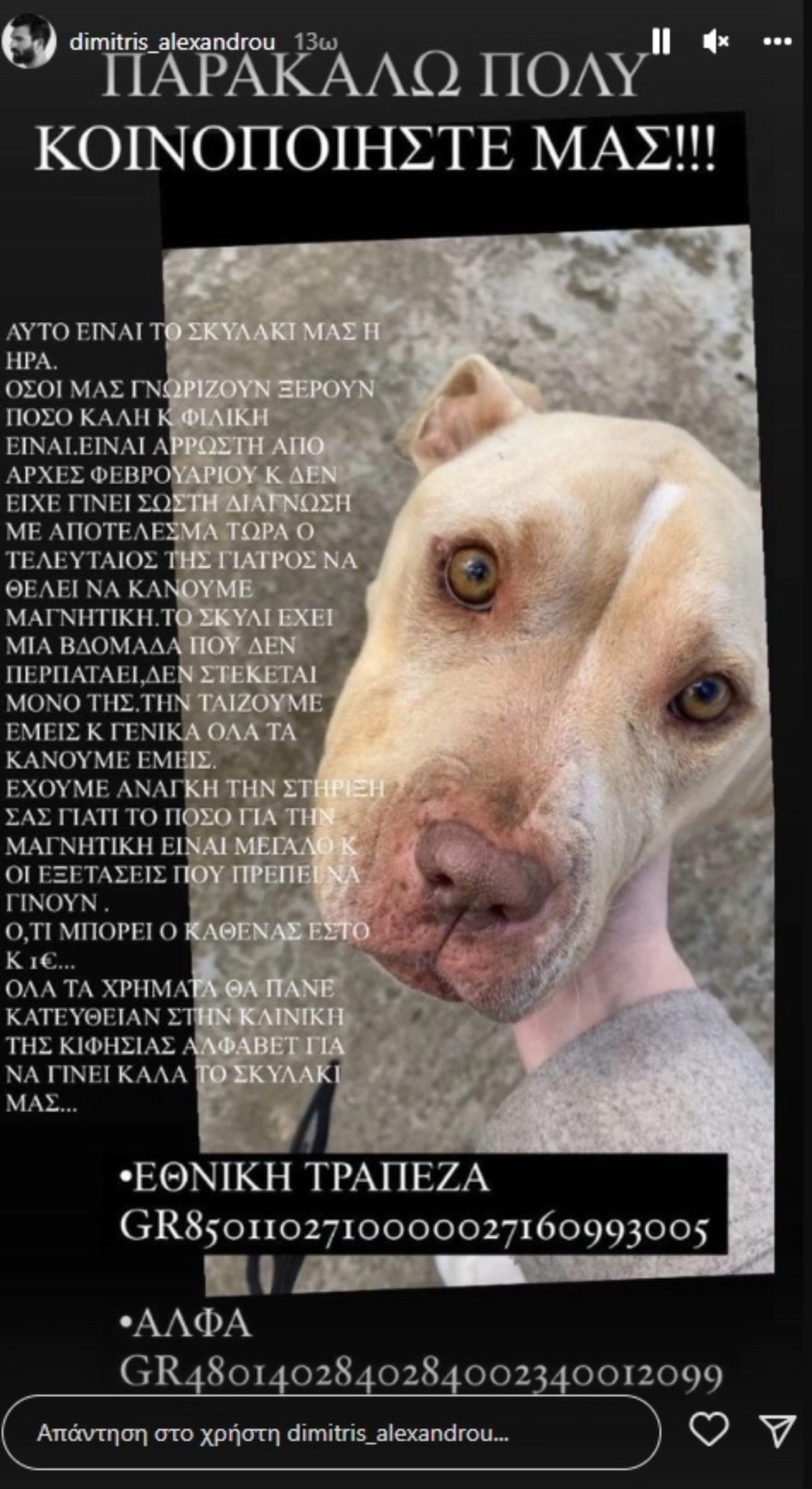 Τα χρήματα που έστειλε ο Νίκος Κοκλώνης για την νοσηλεία ενός σκυλιού