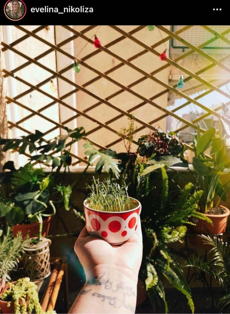 Το μπαλκνόνι της Εβελίνας Νικόλιζα