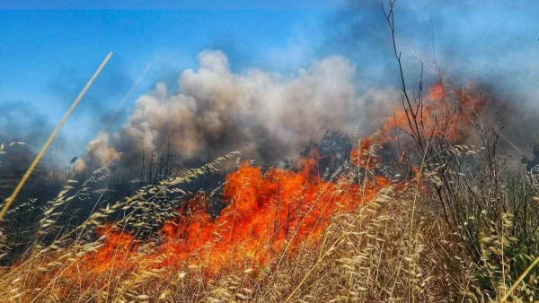 Μεγάλη φωτιά τώρα σε οικισμό στο Ρέθυμνο - Απειλήθηκαν σπίτια