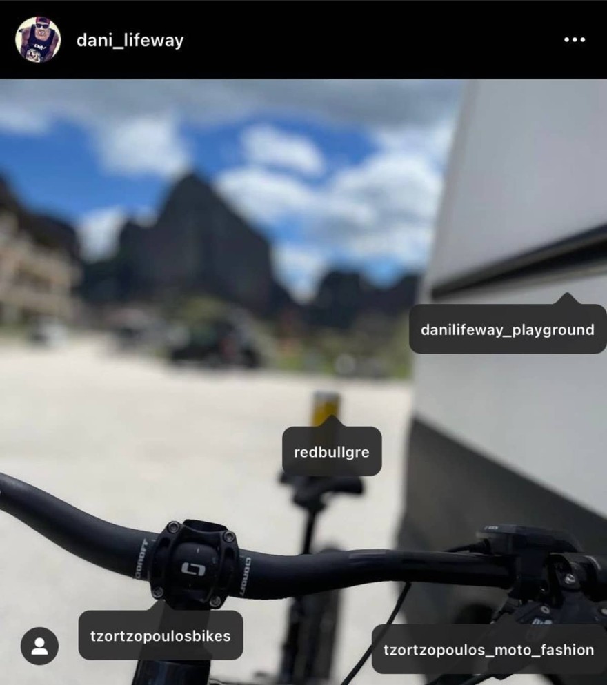 Ιωάννα Μαλέσκου σύντροφος