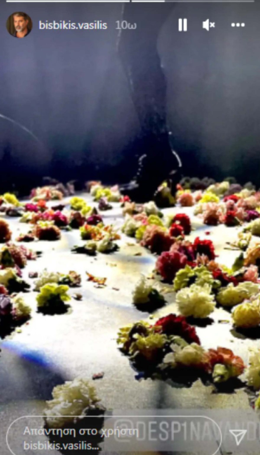 Η φωτογραφία του Βασίλη Μπισμπίκη και της Δέσποινας Βανδή από τα μπουζούκια