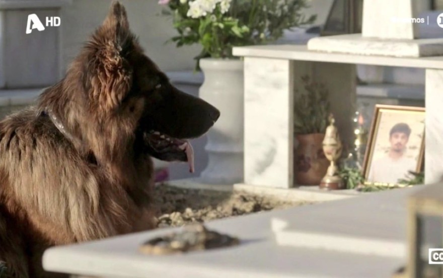 Σασμός θάνατος Μανταρίνας