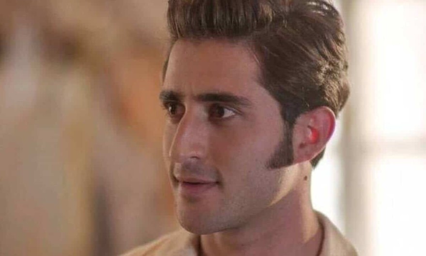 Άγριες Μέλισσες Γιάννης Βασιλώττος