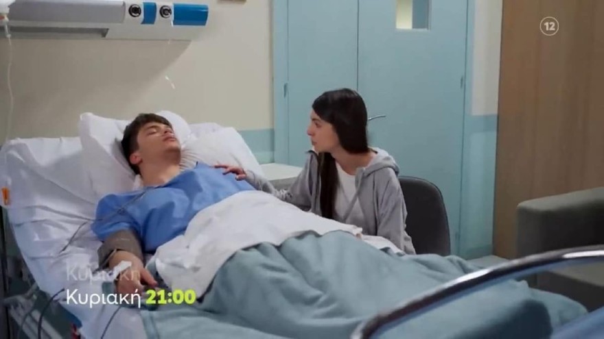 Γη της Ελιάς 