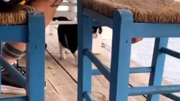 Αιδηψός: Ελεύθερος ο 30χρονος - Είναι υπόδικος για υπόθεση ναρκωτικών