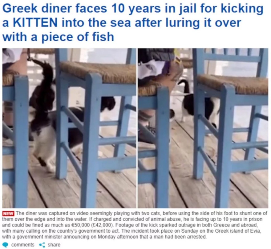 Η κακοποίηση της γάτας έγινε θέμα στην Daily Mail