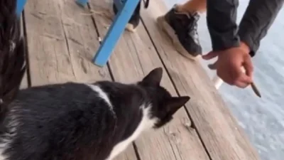 Αιδηψός: Κινδυνεύει με φυλάκιση ο 30χρονος - Πόσα χρόνια μπορεί να τιμωρηθεί