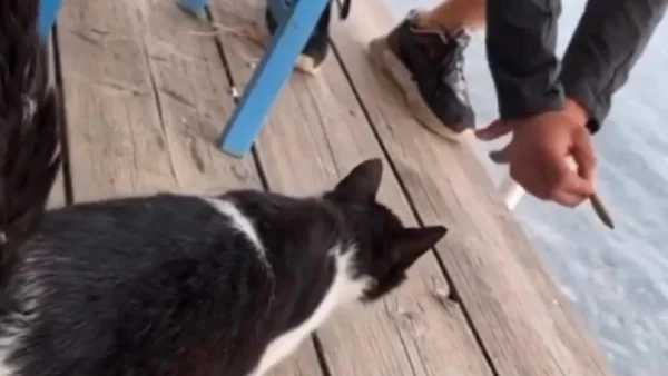 Αιδηψός: Κινδυνεύει με φυλάκιση ο 30χρονος - Πόσα χρόνια μπορεί να τιμωρηθεί