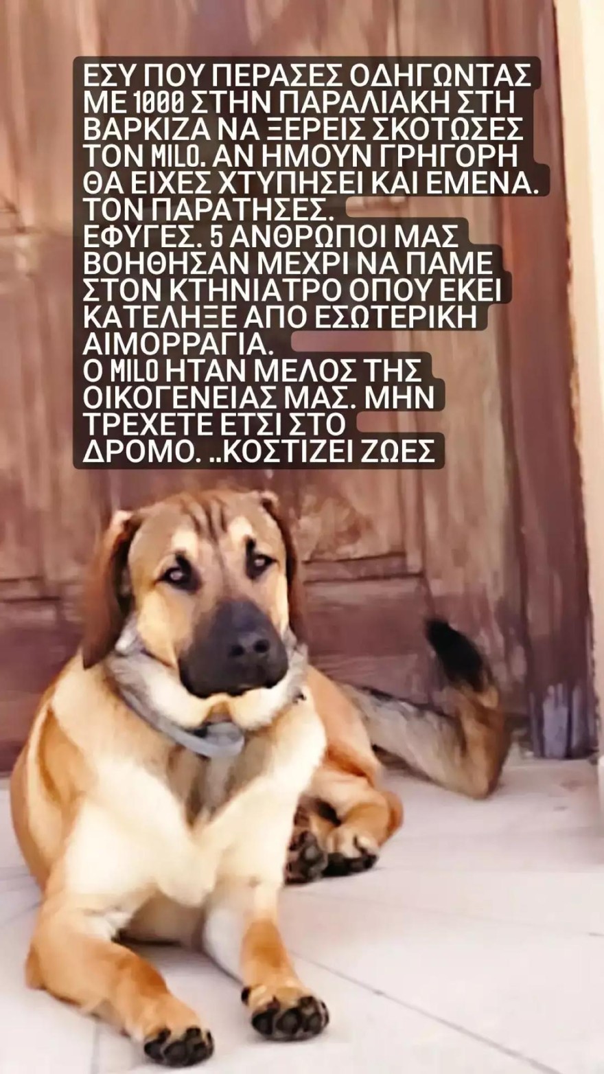 Ανάρτηση Σοφίας Μπεκατώρου