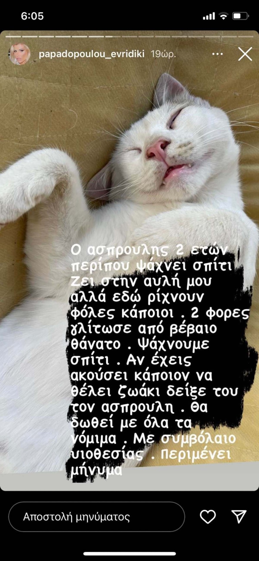 Η ανάρτηση της Ευρυδίκης Παπαδοπούλου