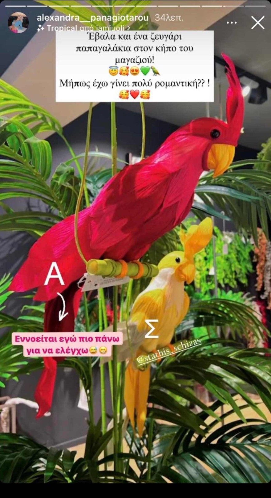 Αλεξάνδρα Παναγιώταρου για Στάθη Σχίζα