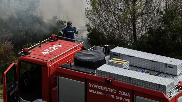 Φωτιά τώρα στην Εύβοια