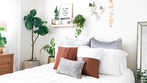 Θα κοιμάσαι σαν πουλάκι - Τα διακοσμητικά φυτά που προσφέρουν καλύτερο ύπνο