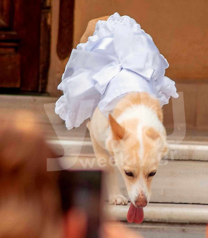 γάμος Μαυρίδη Καθάρια