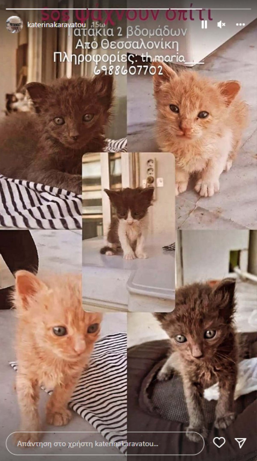 Κατερίνα Καραβάτου έκκληση υιοθεσίας