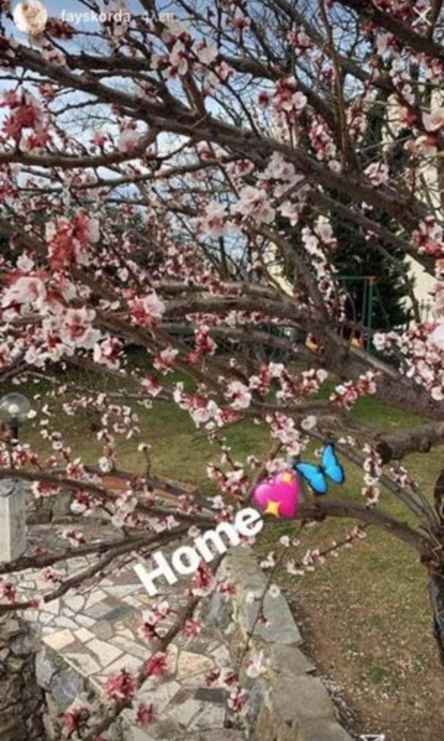 Το πατρικό σπίτι της Φαίης Σκορδά