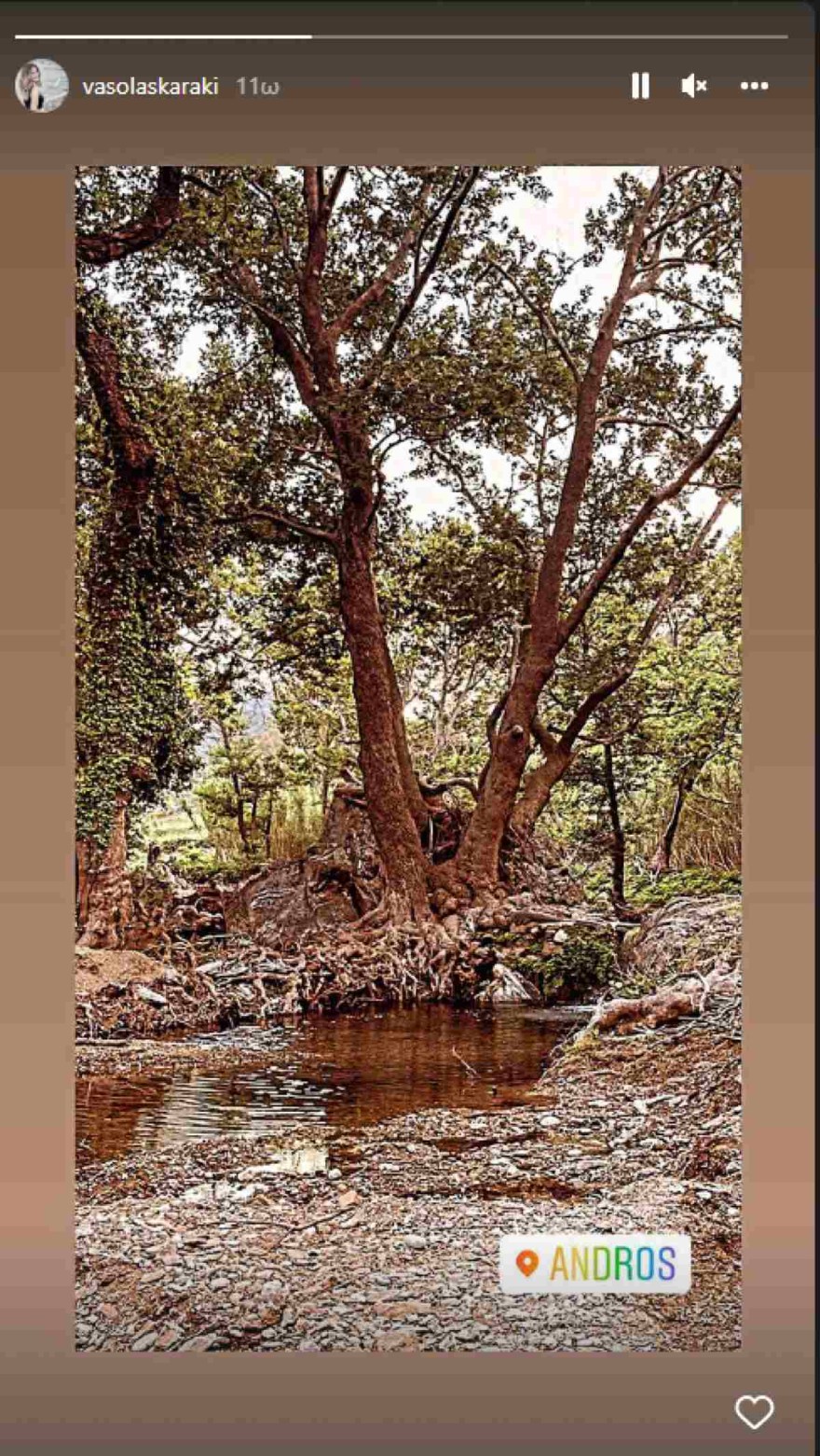 Βάσω Λασκαράκη Άνδρος