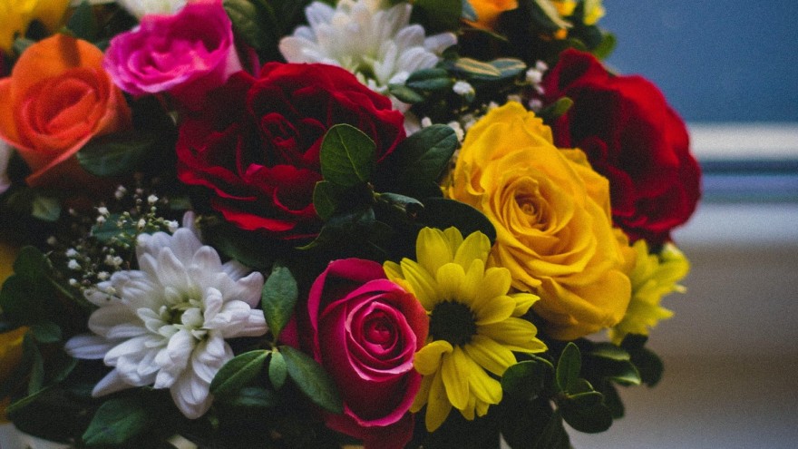 τριαντάφυλλα