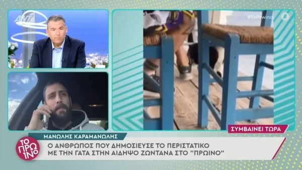 Αιδηψός: «Είναι πρωτόγνωρο για εμένα» - Ο Μανώλης Καραμανώλης απολογείται για την κακοποίηση της γάτας
