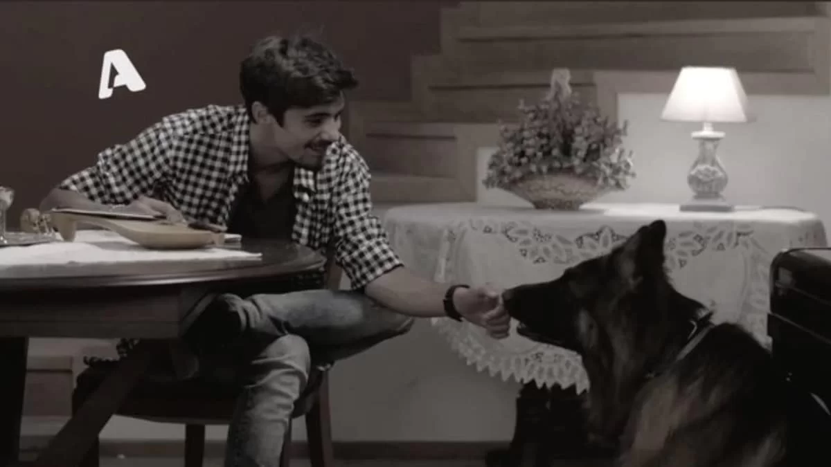 Σασμός: «Εις το επανιδείν» - Το Twitter "παραλύει" με τον χαμό της Μανταρίνας