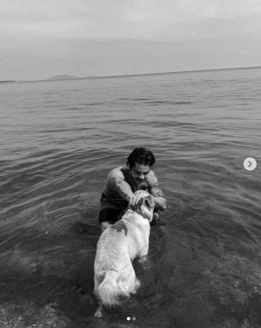 Άγγελος Λάτσιος - Ανάρτηση