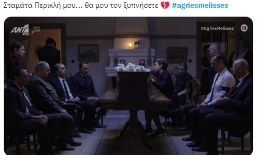 Θλίψη στις Άγριες Μέλισσες